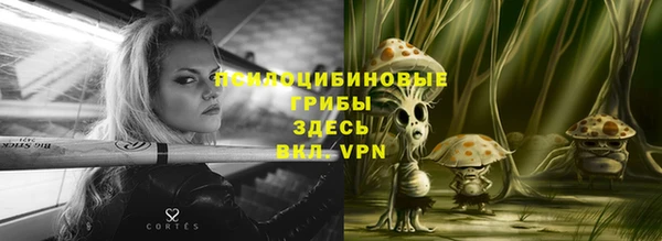 герыч Великий Новгород